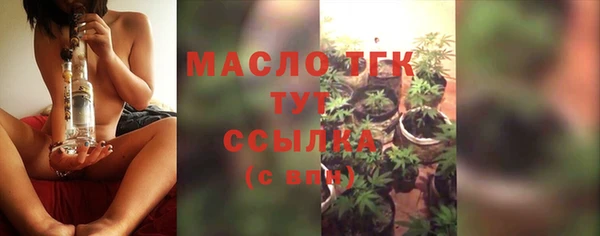 сатива Беломорск