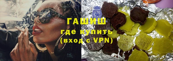 сатива Беломорск