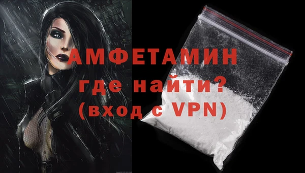 сатива Беломорск