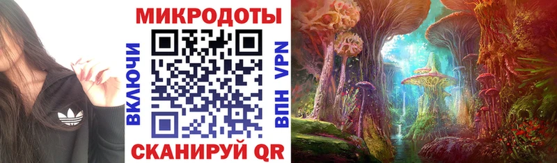 закладки  Волчанск  Псилоцибиновые грибы мухоморы 